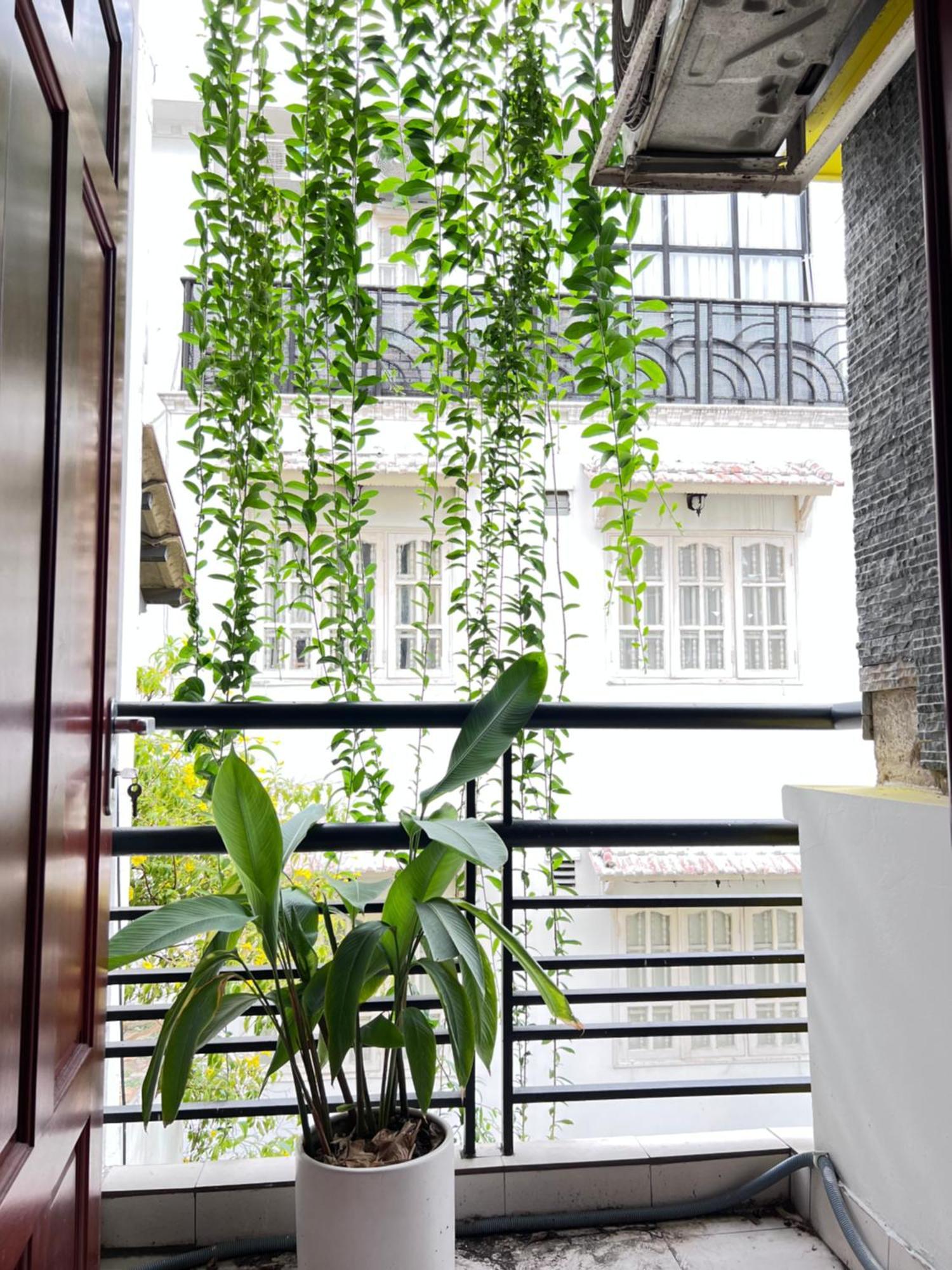 Co Homestay Saigon Ho Chi Minh-Byen Eksteriør billede